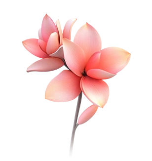 Spa decoration element - Ragini Wellness Massage